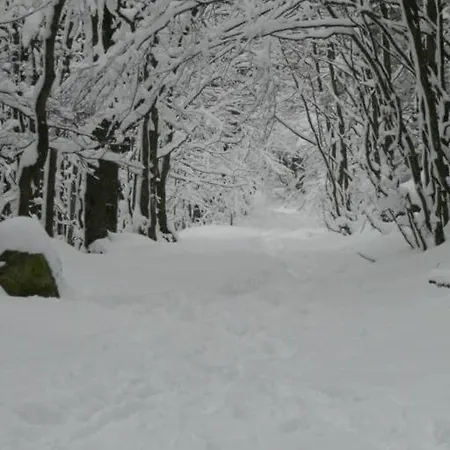 G2 Fully Equipped 1 A 4 Pers 3 Stars Wifi Apartment Le Tholy