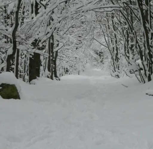 G2 Fully Equipped 1 A 4 Pers 3 Stars Wifi 아파트 르톨리